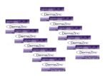 DermaZinc Therapy Soap, Zinc Soap for Skin, Skin Disorder Relief for Psoriasis, Dermatitis, Eczema, and Other Condition Symptoms (Pack of 10)