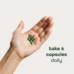 Organic Super Greens Fruit & Veggies Supplement, 3g Fiber, Spirulina, Chlorella, Prebiotics & Probiotics, Digestive Enzymes - Image 2