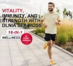 Black Seed Oil, Turmeric, Bladderwrack, Burdock, Elderberry, Manuka, Dandelion, Yellow Dock, Vitamin C & D3 - Image 6