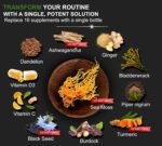 Black Seed Oil, Turmeric, Bladderwrack, Burdock, Elderberry, Manuka, Dandelion, Yellow Dock, Vitamin C & D3 - Image 7